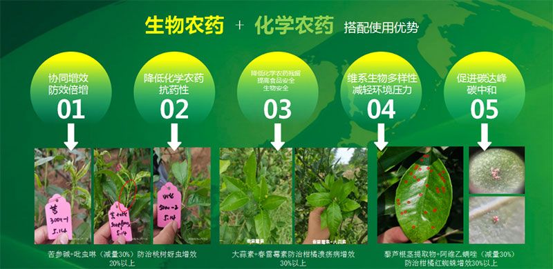 新朝陽在第六屆中國農(nóng)藥行業(yè)市場和銷售高峰論壇做“生物農(nóng)藥+化學農(nóng)藥，引領植保市場未來”主題報告