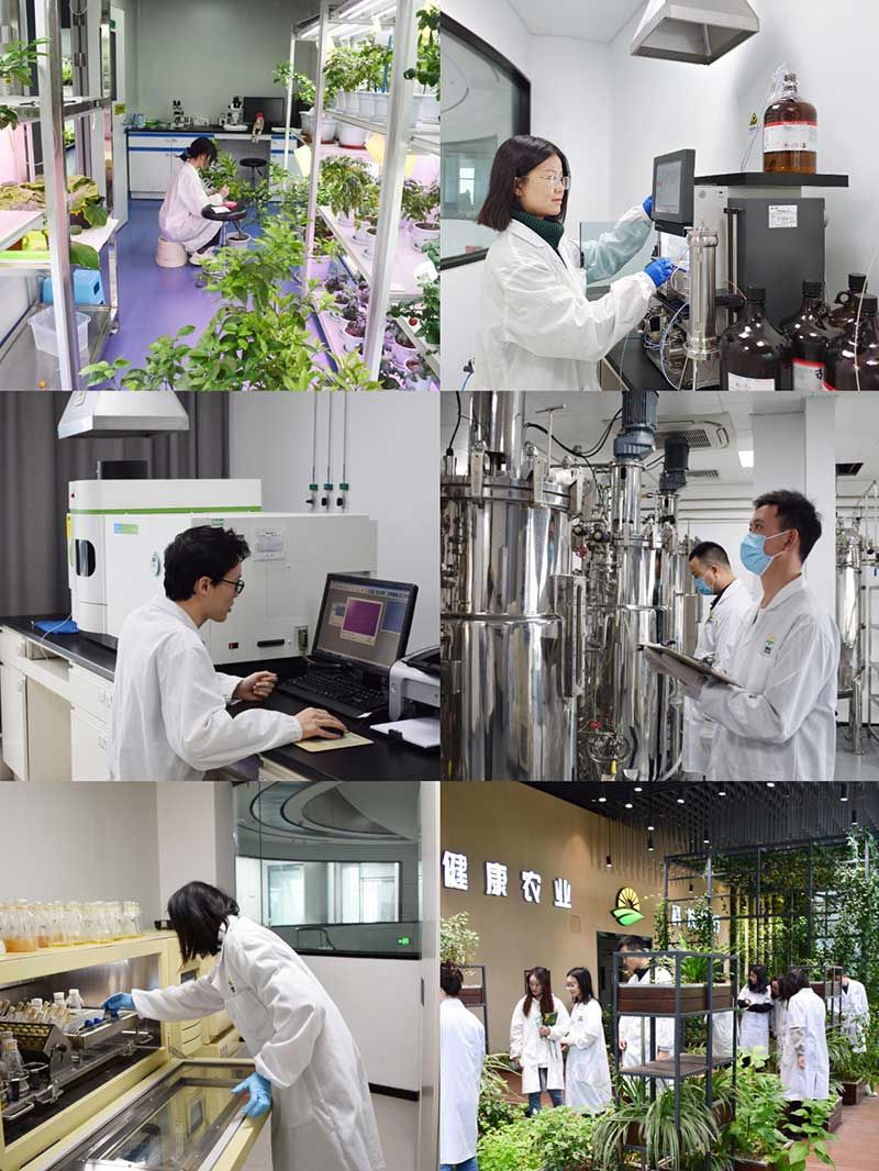 “全國科技工作者日”：推動(dòng)農(nóng)業(yè)綠色高質(zhì)量發(fā)展，新朝陽科研人在路上