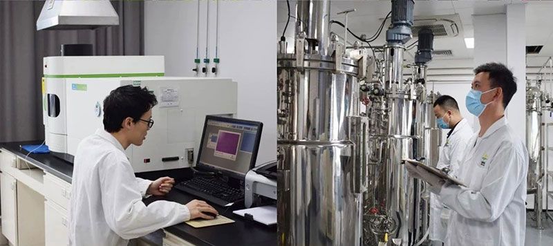 打造新朝陽生物科技“五張名片”，服務(wù)農(nóng)業(yè)高質(zhì)量發(fā)展！