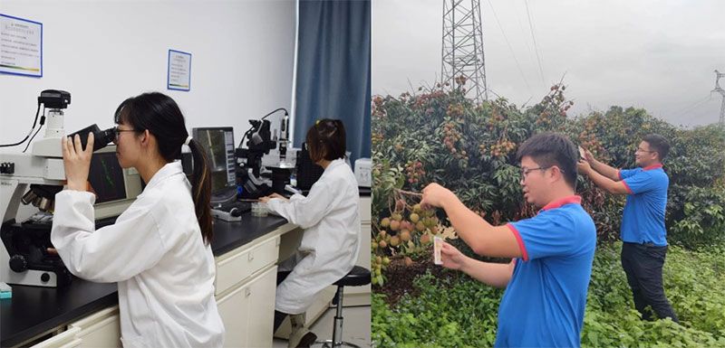 打造新朝陽生物科技“五張名片”，服務(wù)農(nóng)業(yè)高質(zhì)量發(fā)展！