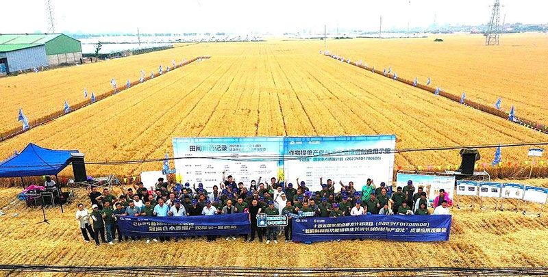 生物技術助力糧食單產(chǎn)顯著提升-“十四五”國家重點研發(fā)計劃成果應用觀摩會圓滿落幕