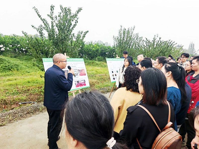 新朝陽生物技術(shù)助力綠色防控，推動柑橘產(chǎn)業(yè)綠色高質(zhì)量發(fā)展